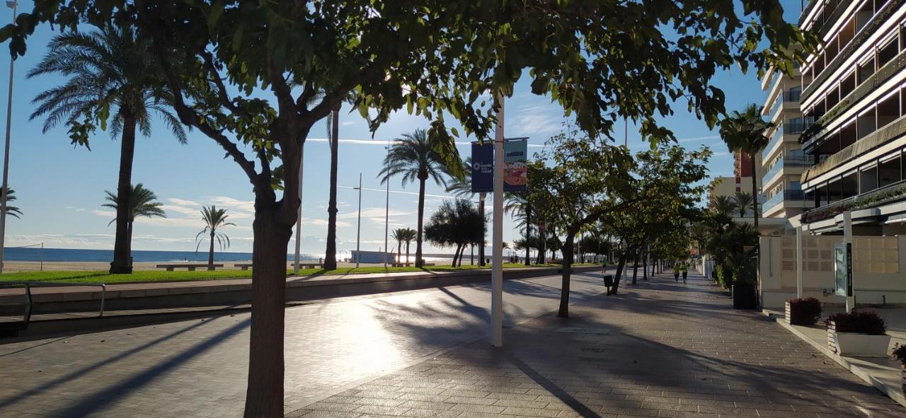 Ola Marina Solo Familias Daire Playa de Gandia Dış mekan fotoğraf